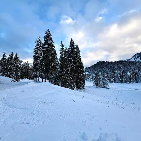 La Source Relaxation & Nature Appartamento Mieussy